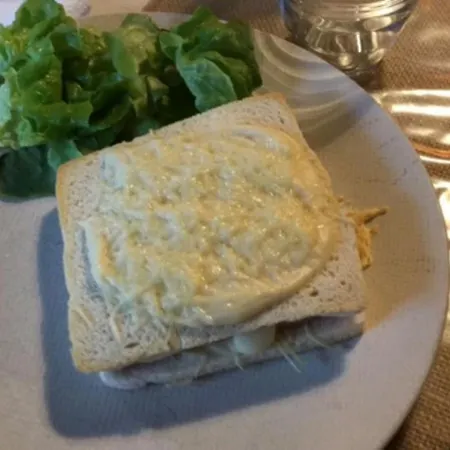 Alojamento de Acomodação e Pequeno-almoço La Tournerie *