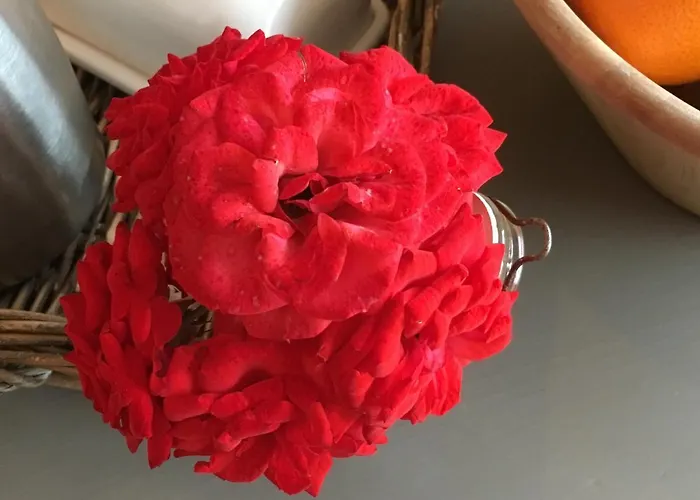 Couette-café La Tournerie Saint-Fulgent