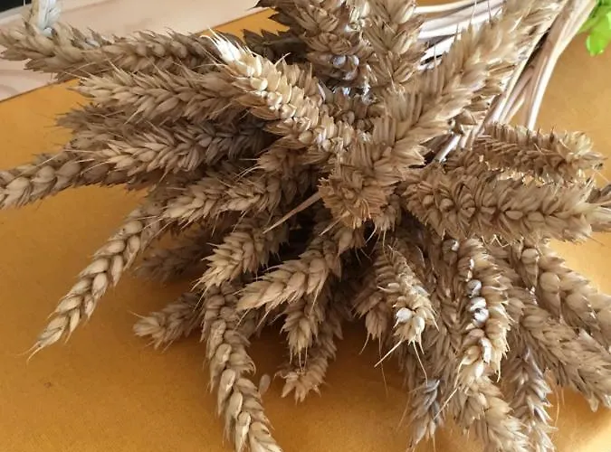 La Tournerie Couette-café *